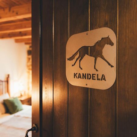 Arialdegi Aparthotel San Marcos  Eksteriør bilde