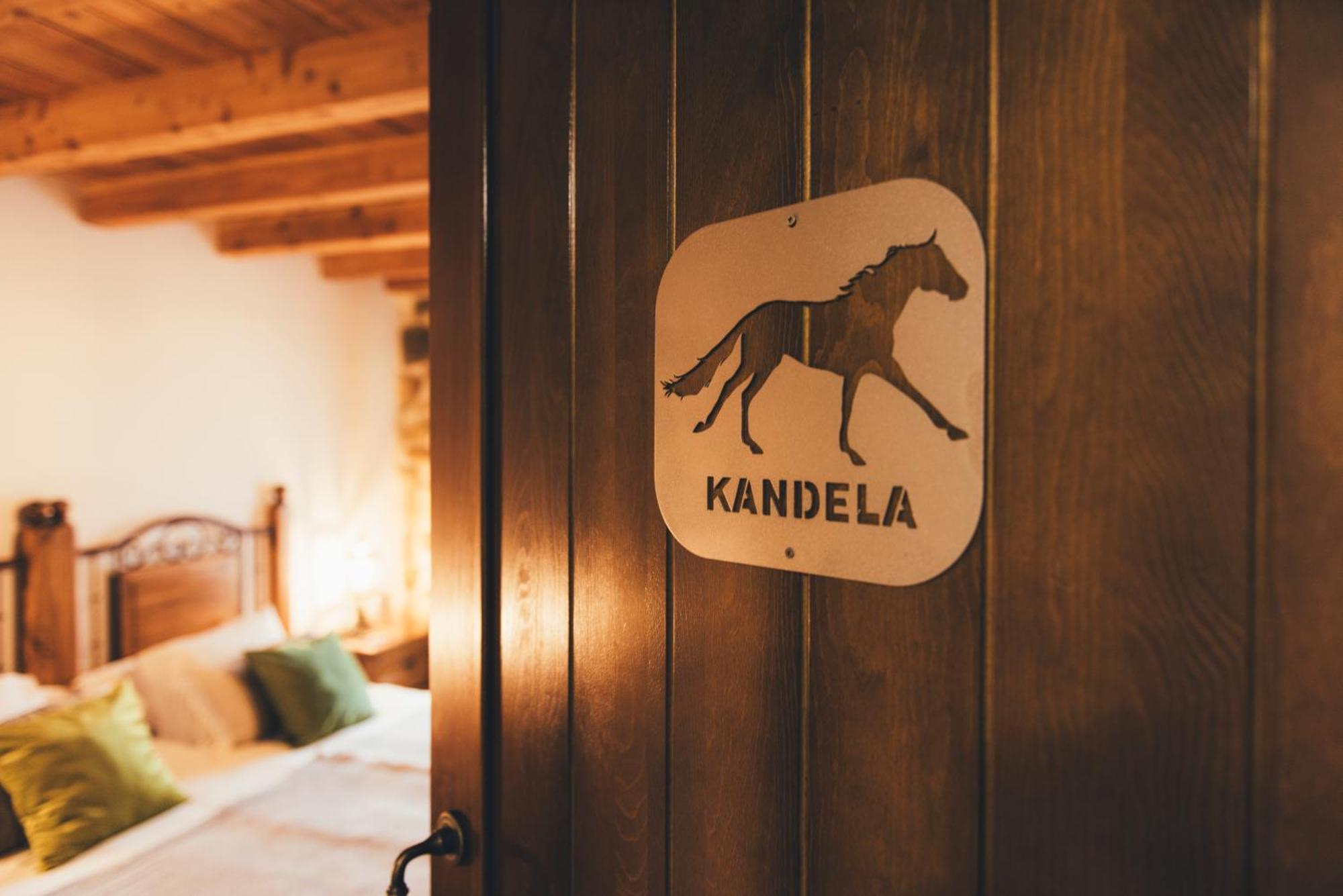 Arialdegi Aparthotel San Marcos  Eksteriør bilde